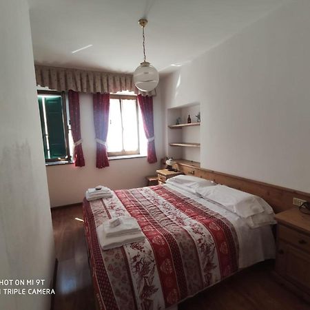 Bed and Breakfast La Favorita Lozzo Cadore Экстерьер фото